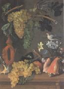Juan de  Espinosa Still Life with Grapes (san 05) Sweden oil painting artist